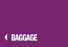 Luggage 